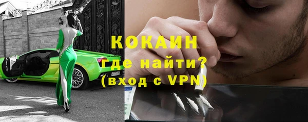 молекула духа Вяземский