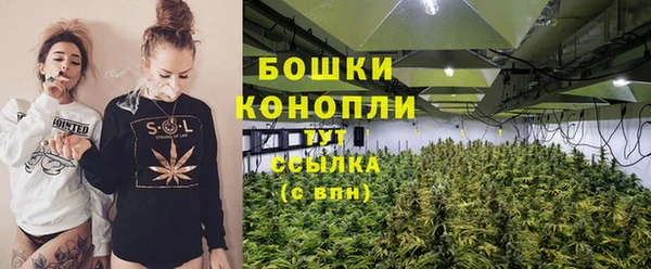 молекула духа Вяземский