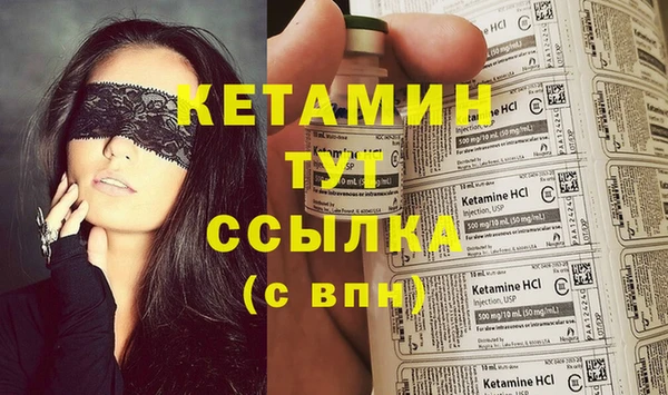 молекула духа Вяземский