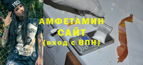 молекула духа Вяземский