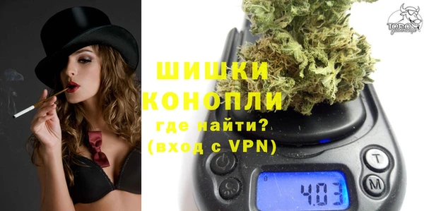 молекула духа Вяземский