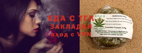 молекула духа Вяземский