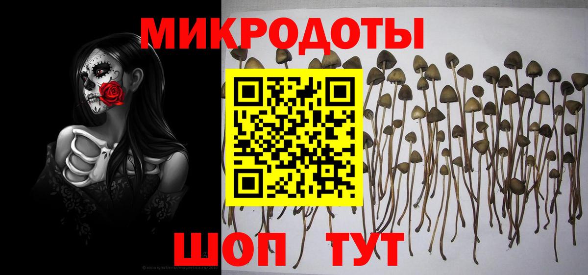 Галлюциногенные грибы прущие грибы Боровичи