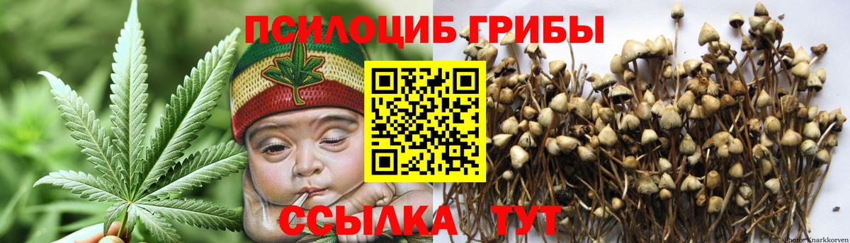 Псилоцибиновые грибы прущие грибы  Вход с VPN  Боровичи  Псилоцибиновые грибы Magic Shrooms 